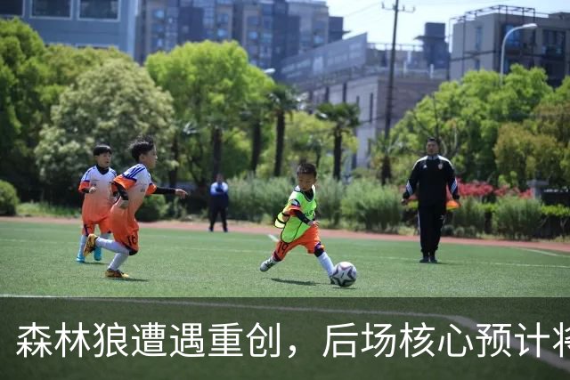 森林狼遭遇重创，后场核心预计将缺席两个月的时间？