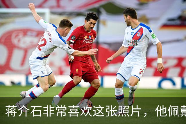 蒋介石非常喜欢这张照片，他佩戴的六枚勋章都代表着什么意义？