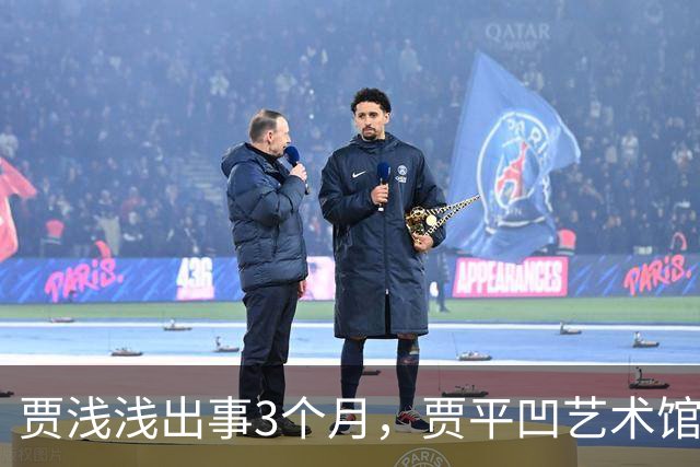 贾浅浅出事3个月，贾平凹艺术馆被法拍，建馆8000万他没出一分钱